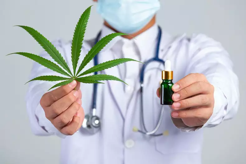 Cannabis Medicinal - Pólis Cursos